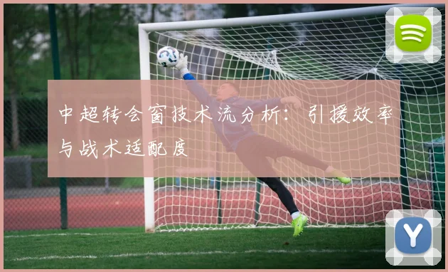 中超转会窗技术流分析：引援效率与战术适配度