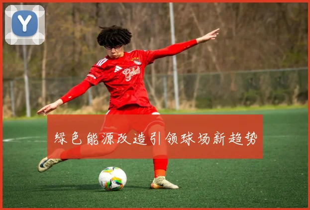 绿色能源改造引领球场新趋势